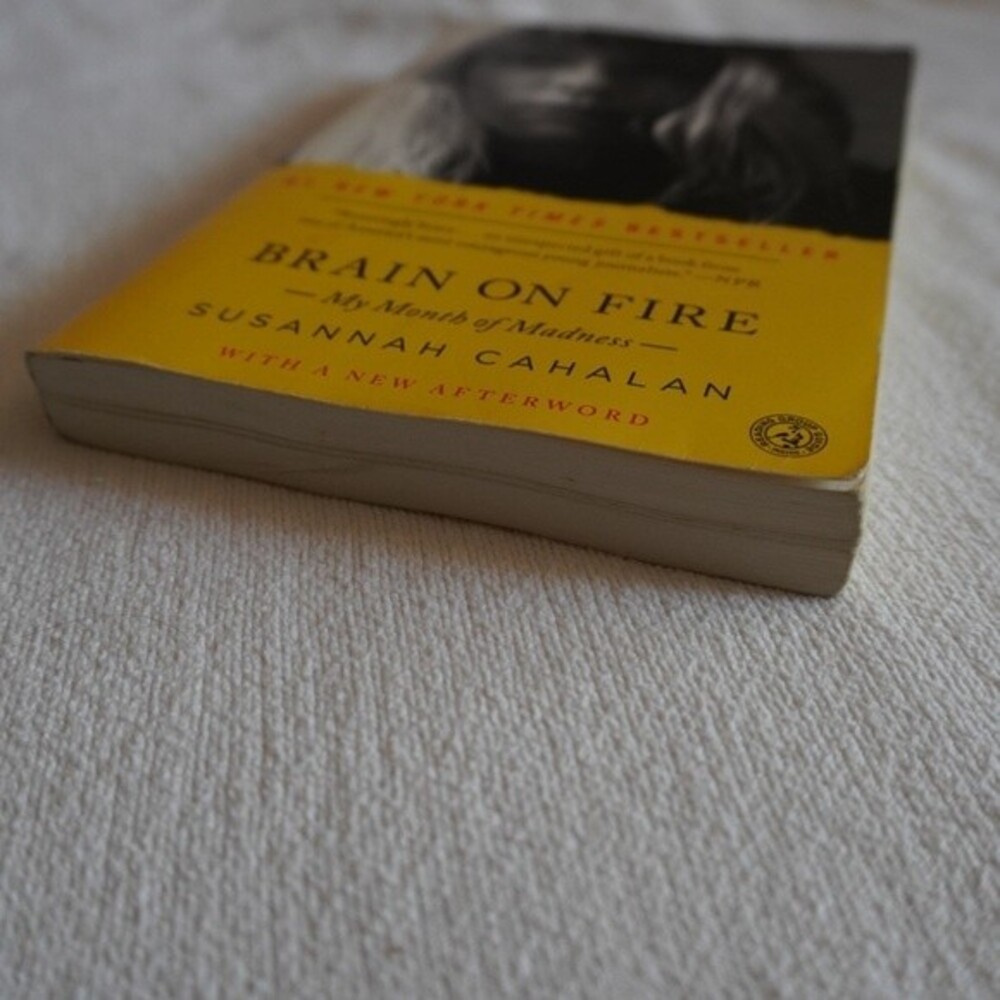 Susannah Cahalan Brain on Fire My Month of Madness - Picture 5 of 8